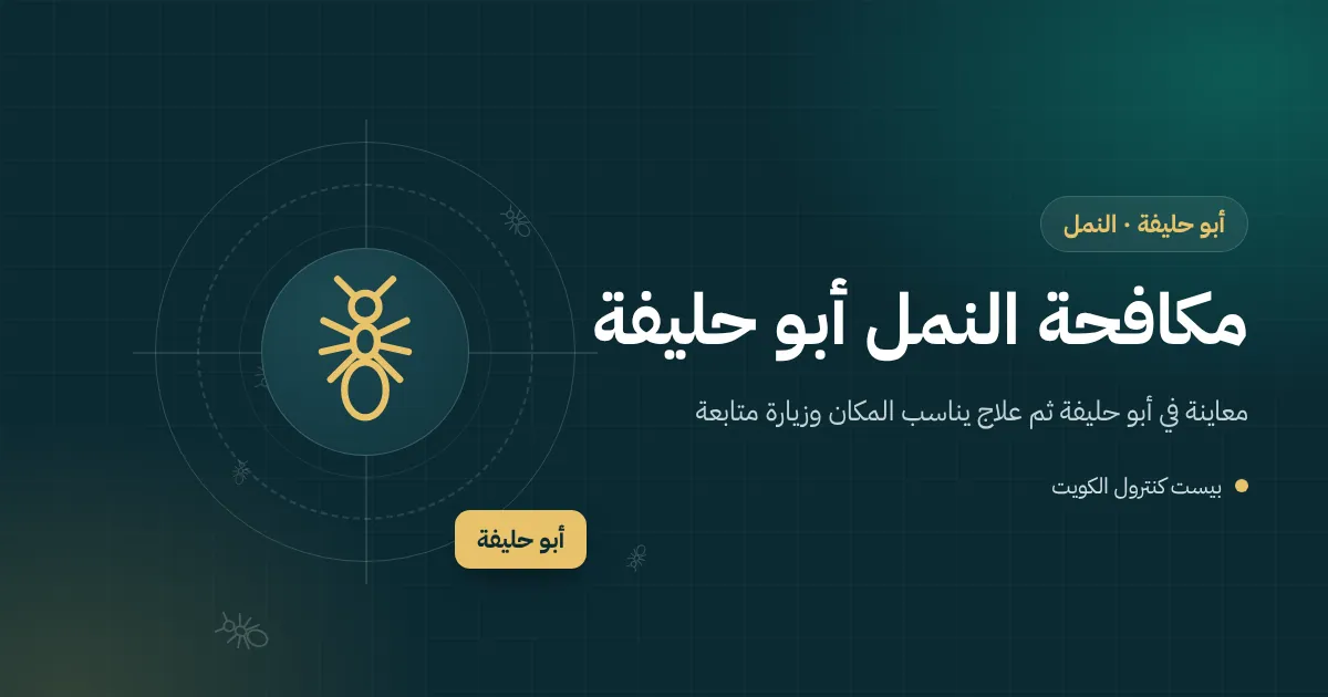 رسم توضيحي لخط نمل على فواصل بلاط حمام رطب في شقة بأبو حليفة