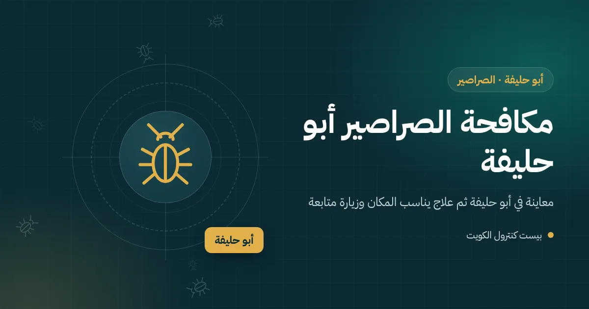 رسم توضيحي لصرصور تحت مغسلة حمام رطب في شقة مطلة على البحر بأبو حليفة
