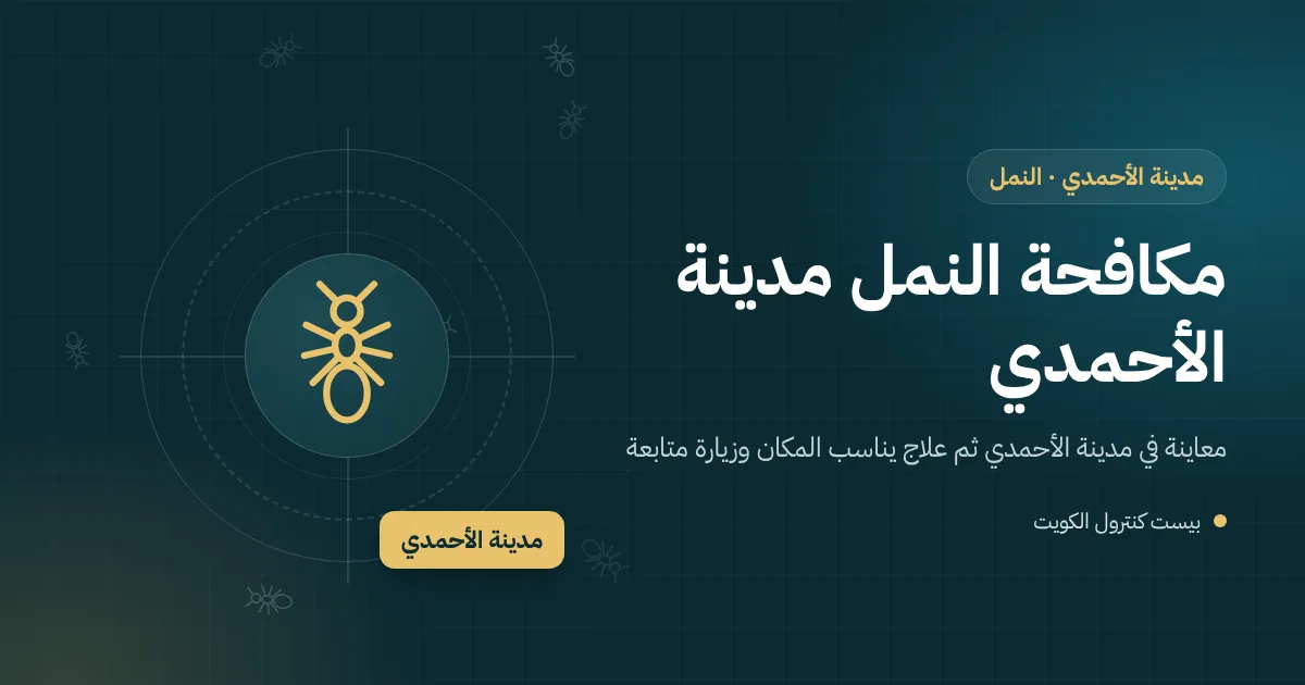 أنفاق طينية رفيعة على جدار قرب إطار نافذة خشبي في بيت قديم بمدينة الأحمدي