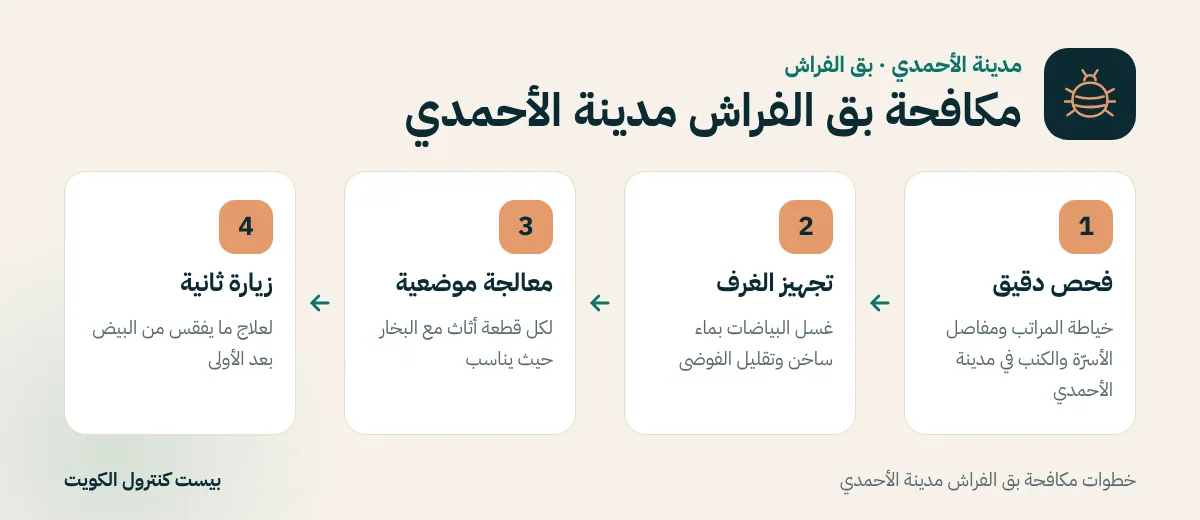 خطوات مكافحة بق الفراش مدينة الأحمدي