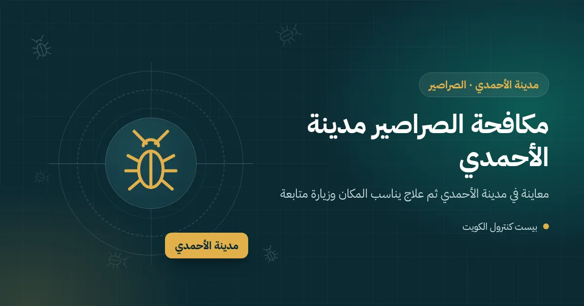 صرصور كبير يخرج من تحت أوراق متساقطة عند جدار بيت قديم في مدينة الأحمدي ليلًا