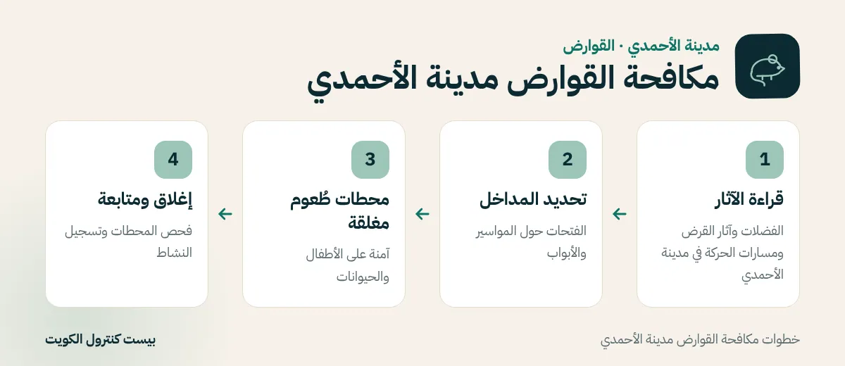 خطوات مكافحة القوارض مدينة الأحمدي