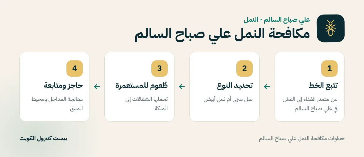 خطوات مكافحة النمل علي صباح السالم