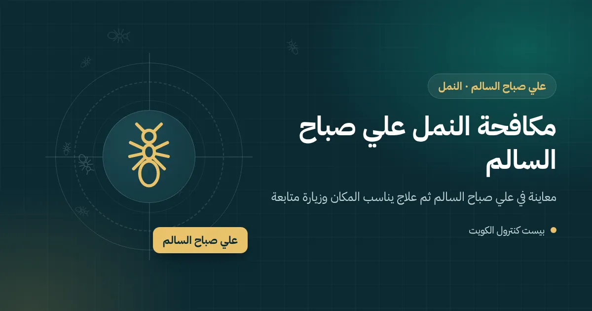 صف من النمل الصغير يعبر عتبة مطبخ قادمًا من حوش مبلط في بيت بعلي صباح السالم