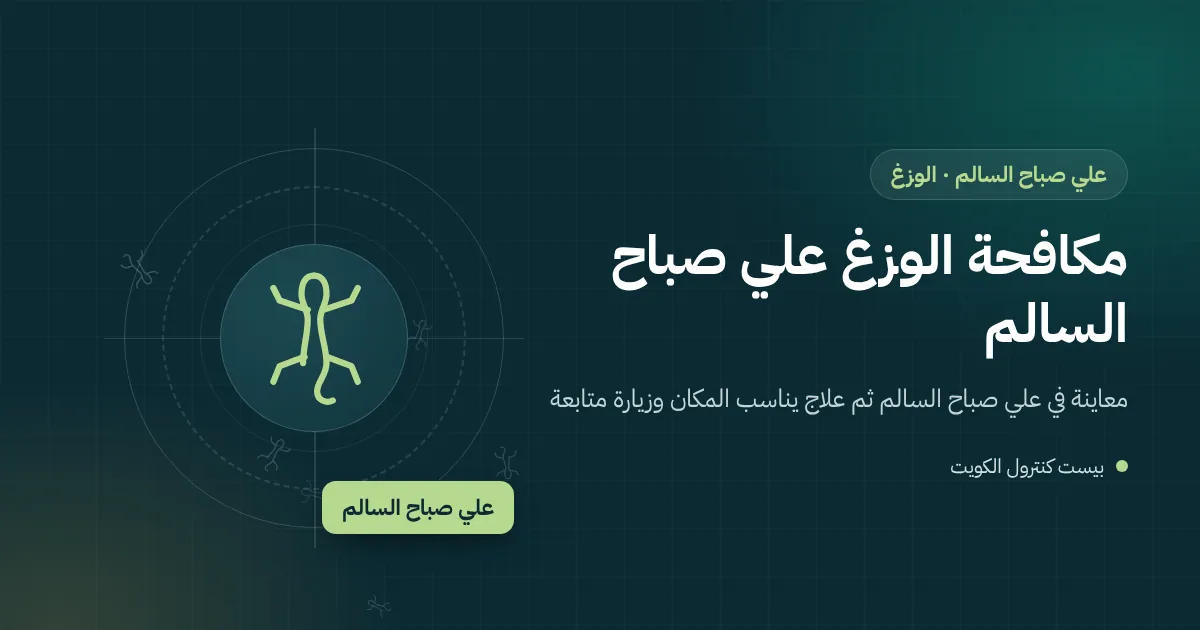 وزغ يترصد الفراشات المتجمعة حول مصباح مثبت على سور منزل في علي صباح السالم ليلًا