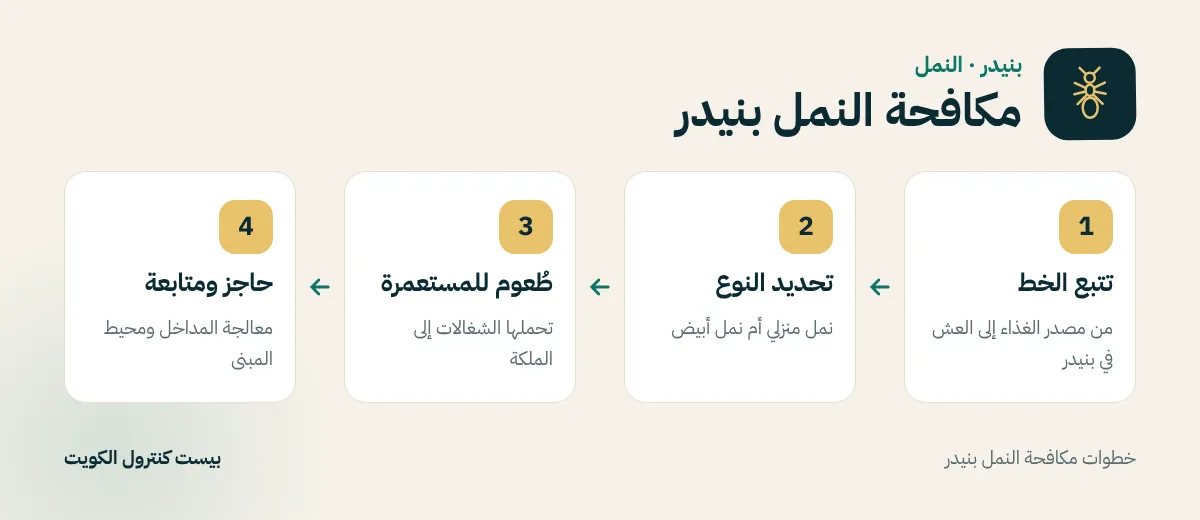 خطوات مكافحة النمل بنيدر