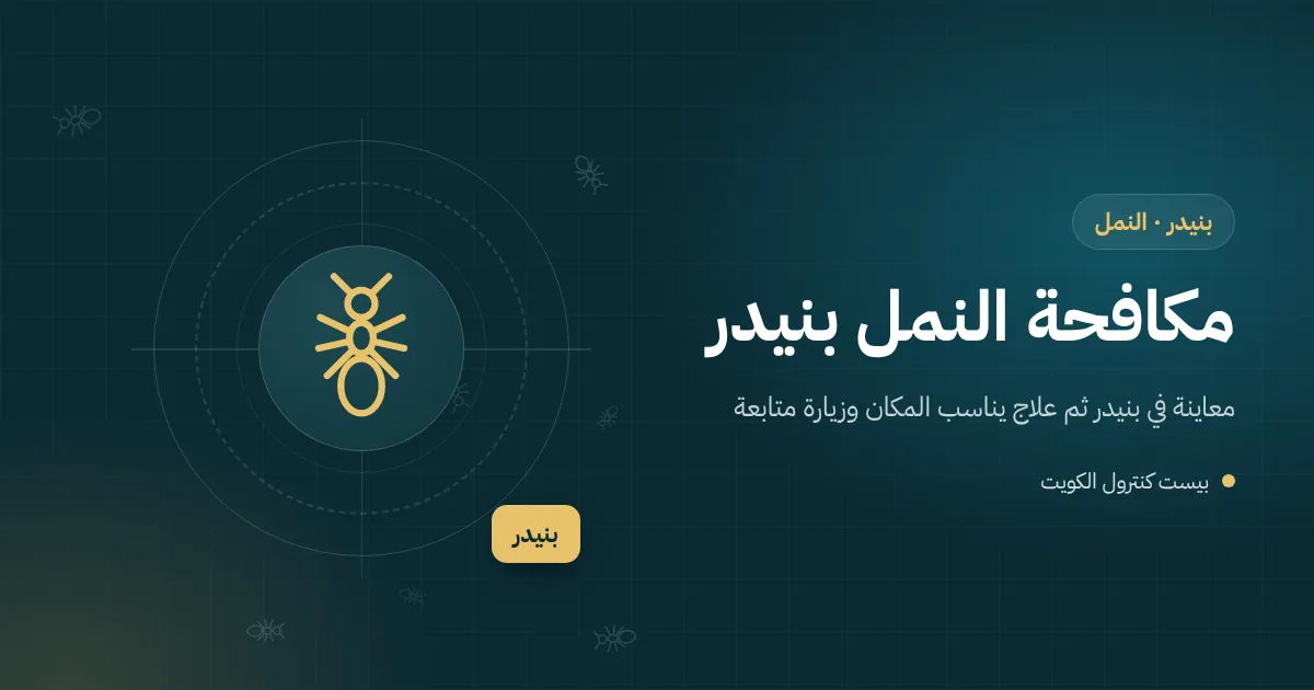 رسم توضيحي لخط نمل يتجه إلى فتات كيك بين وسائد كنب في شاليه مؤجر ببنيدر