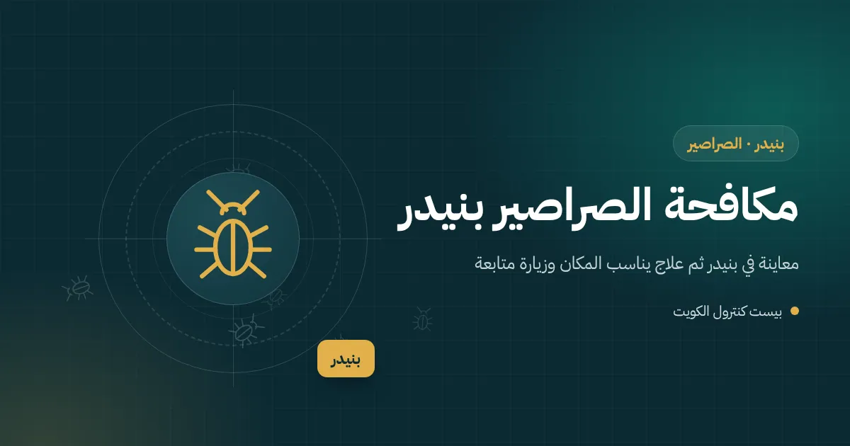 رسم توضيحي لكراتين مشروبات متروكة في مطبخ شاليه مؤجر ببنيدر وصرصور صغير يخرج منها