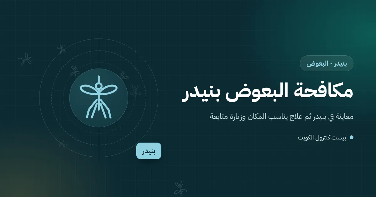 رسم توضيحي لضيوف على تراس شاليه في بنيدر ليلًا ومسبح أطفال منفوخ فيه ماء راكد