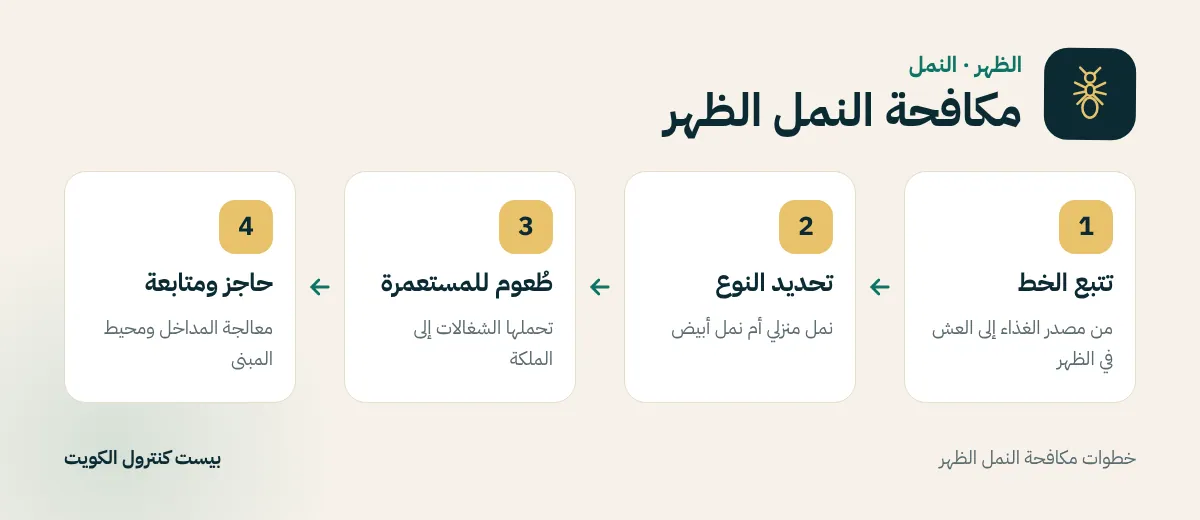 خطوات مكافحة النمل الظهر