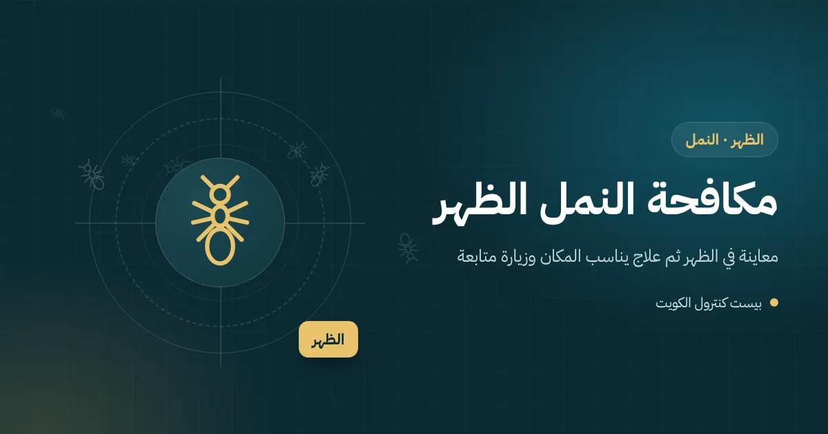 رسم توضيحي لخط نمل يتجه إلى صحن تمر في مجلس بيت عائلي بالظهر