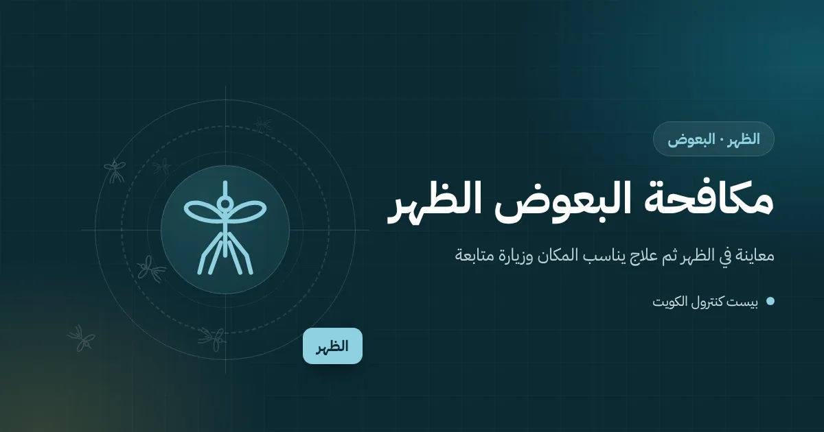 رسم توضيحي لحوش بيت عائلي في الظهر فيه بالوعة غسيل سيارات وماء متجمع وبعوض