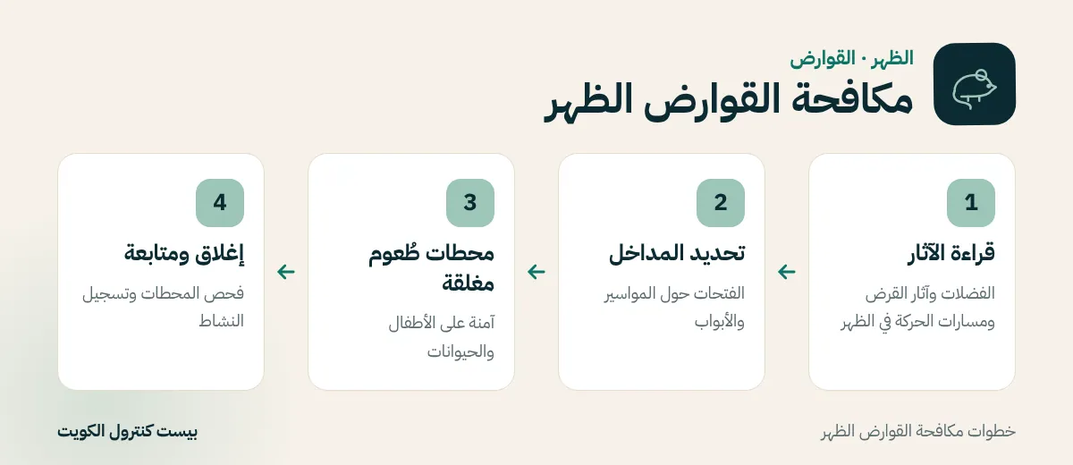 خطوات مكافحة القوارض الظهر