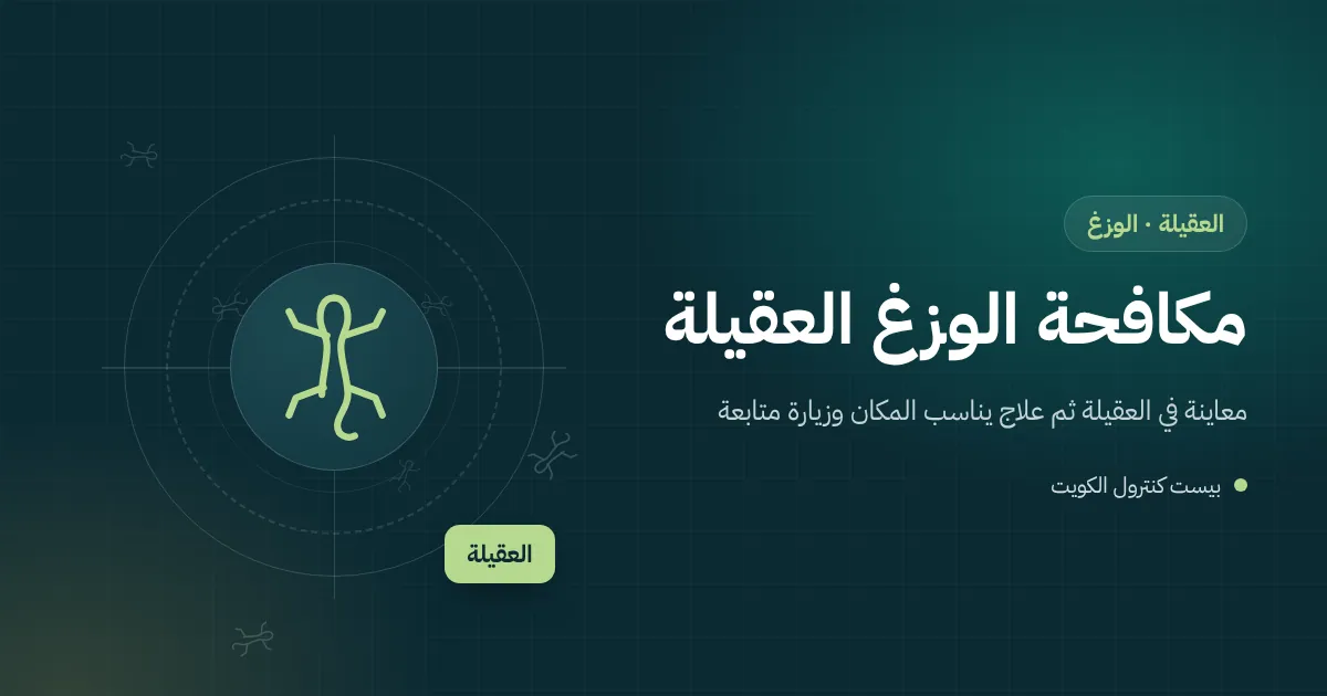 رسم توضيحي لوزغة قرب لافتة محل مضاءة وسور بيت في العقيلة ليلًا