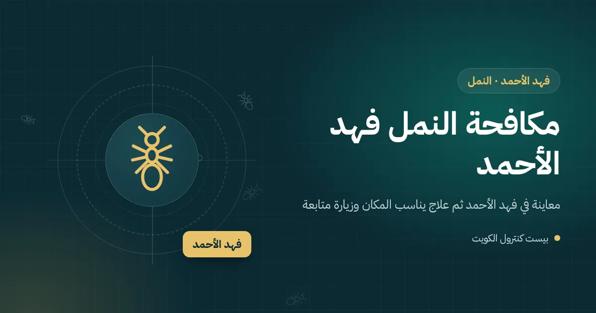 رسم توضيحي لسرب نمل مجنح حول مصباح نافذة في بيت بفهد الأحمد وأجنحة متساقطة على العتبة
