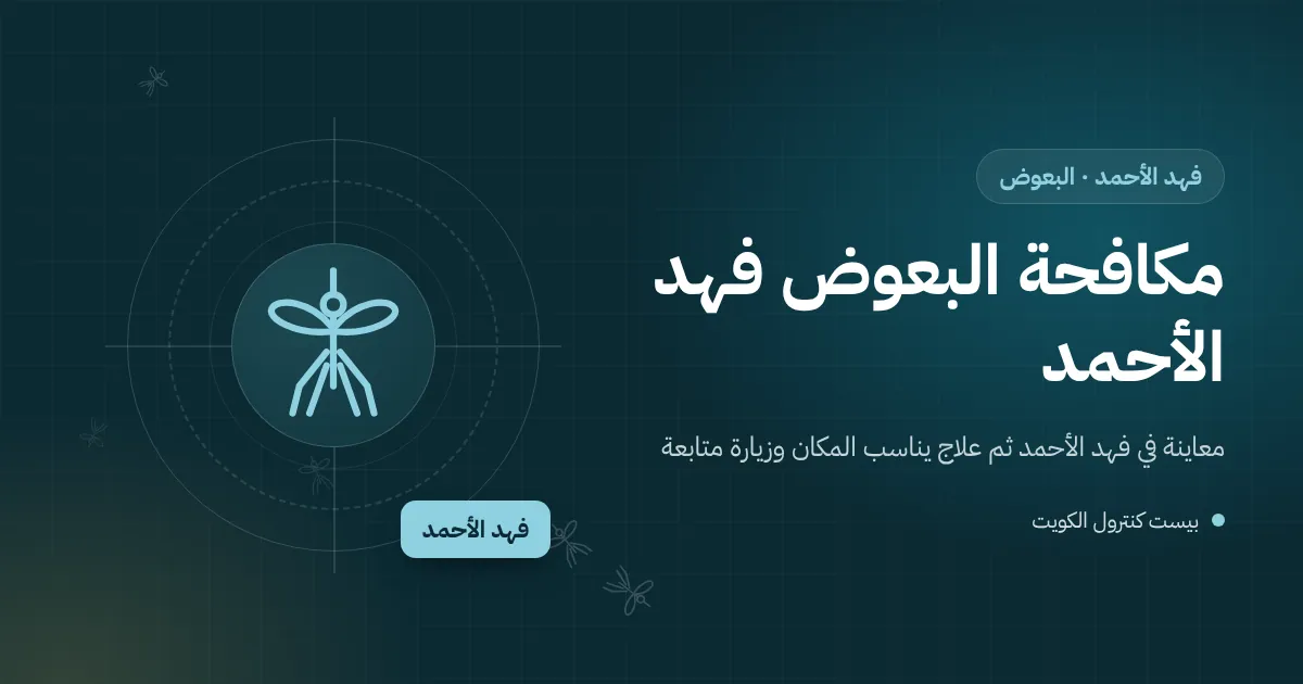 رسم توضيحي لسطح بيت في فهد الأحمد بعد المطر فيه بركة صغيرة ومزراب مسدود وبعوض