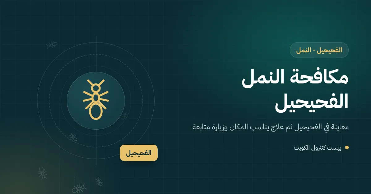 رسم توضيحي لخط من النمل يتجه نحو رف سكر في بقالة بالفحيحيل