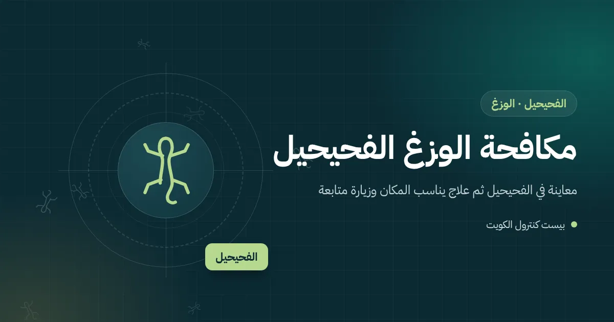 رسم توضيحي لوزغ على جدار قرب لوحة محل مضيئة أسفل نافذة شقة في الفحيحيل