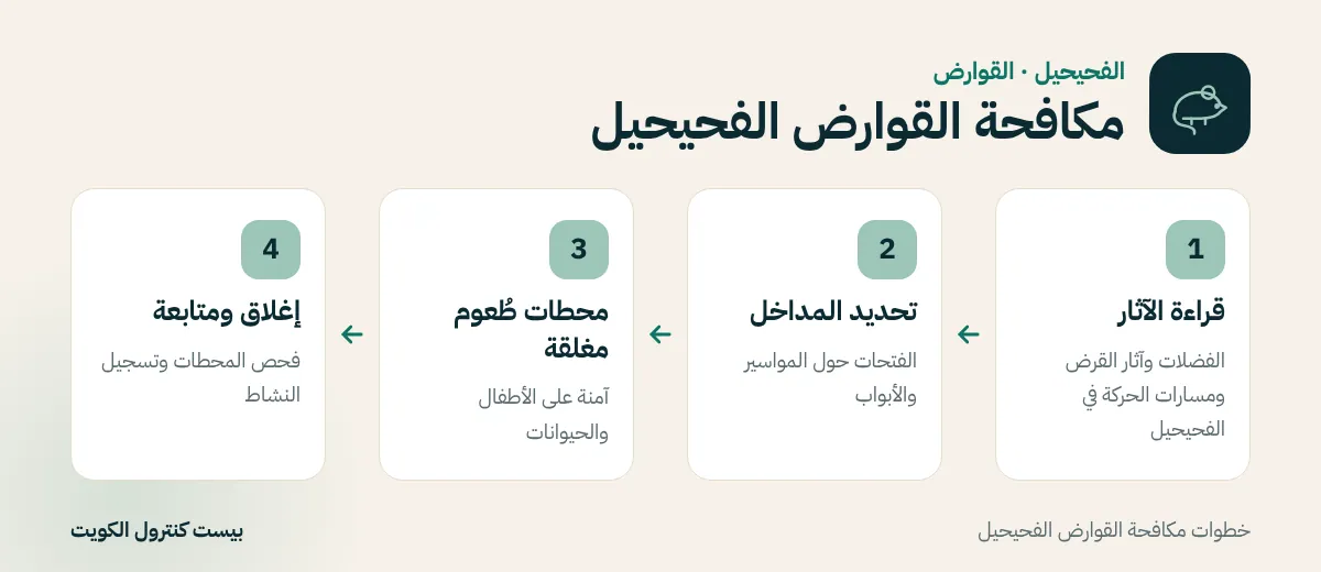خطوات مكافحة القوارض الفحيحيل