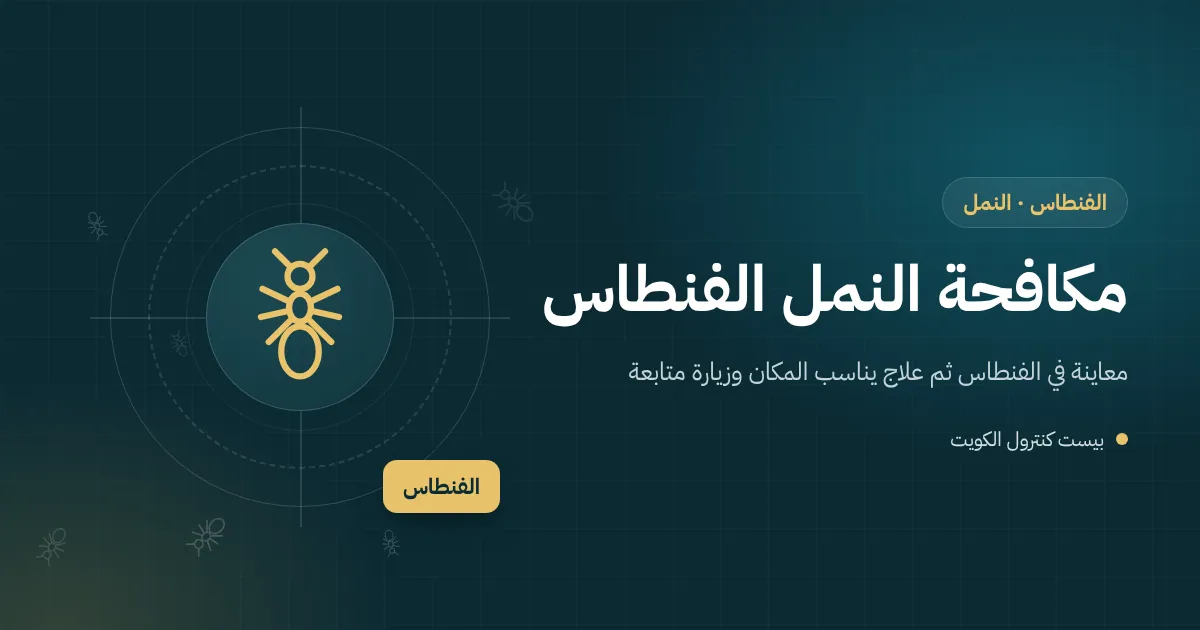 رسم توضيحي لمستعمرة نمل بين فواصل بلاط حوش بيت في الفنطاس وخط نمل يتجه إلى باب المطبخ