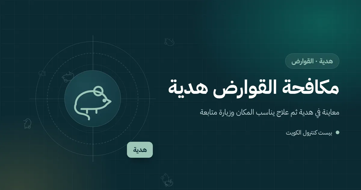 رسم توضيحي لمخزن على سطح بيت في هدية مع مصيدة فئران بين الصناديق