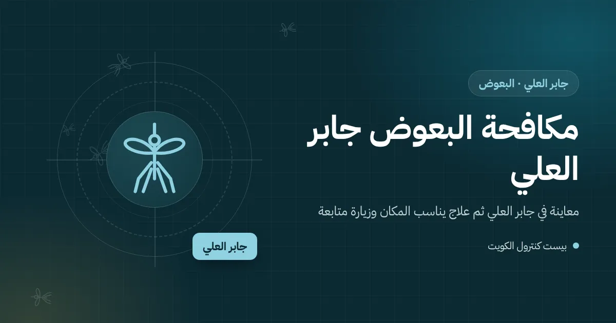 رسم توضيحي لنافورة صغيرة وأصص زرع في حديقة بيت بجابر العلي وبعوض قرب جلسة مسائية