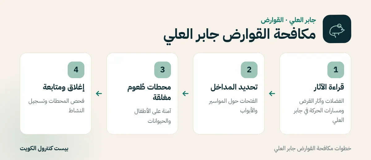 خطوات مكافحة القوارض جابر العلي