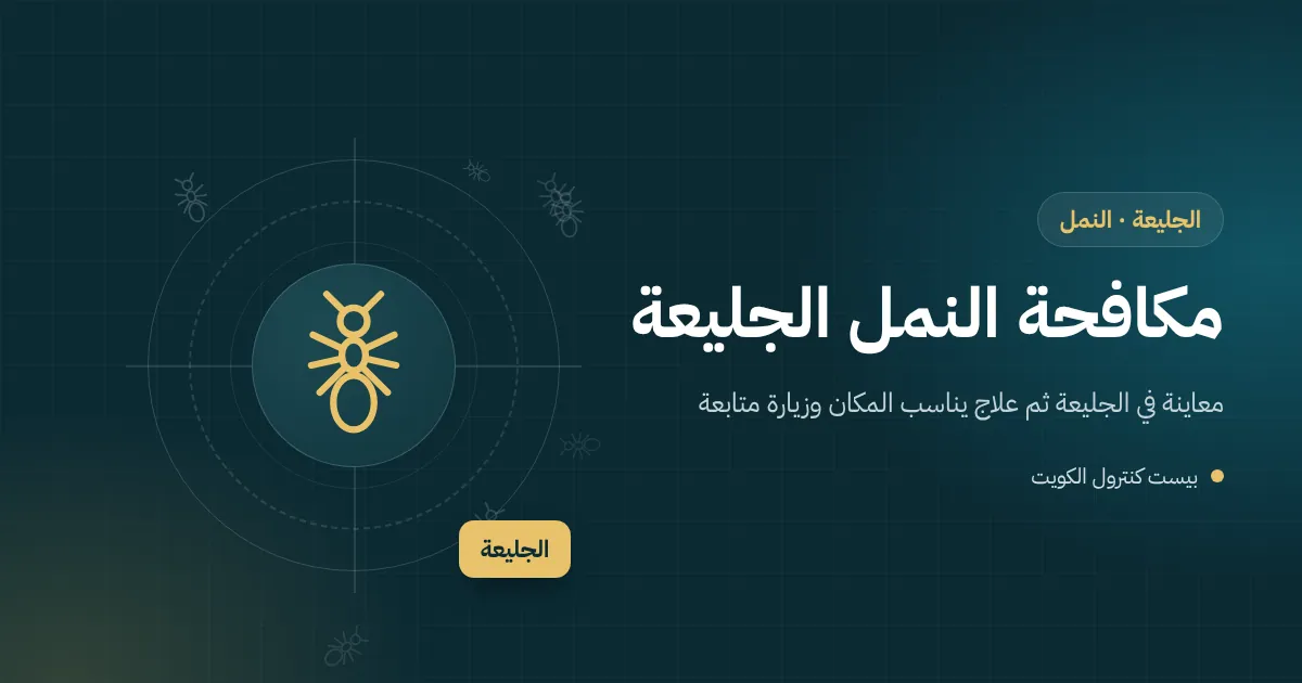 رسم توضيحي لأنفاق طينية للنمل الأبيض على إطار باب خشبي في شاليه مغلق بالجليعة