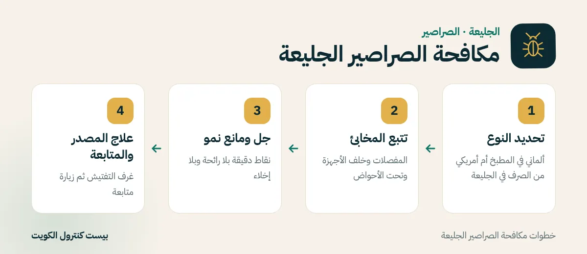 خطوات مكافحة الصراصير الجليعة