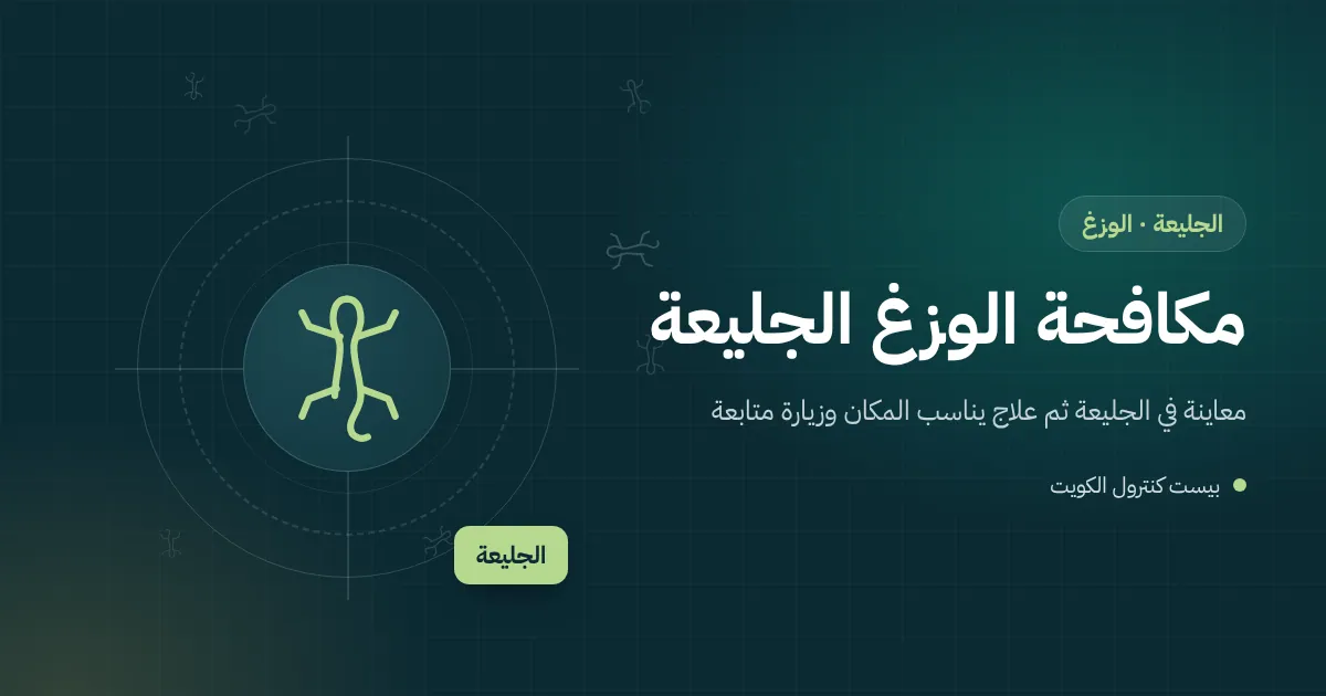 رسم توضيحي لبيض وزغ في زاوية خزانة داخل شاليه مغلق بالجليعة