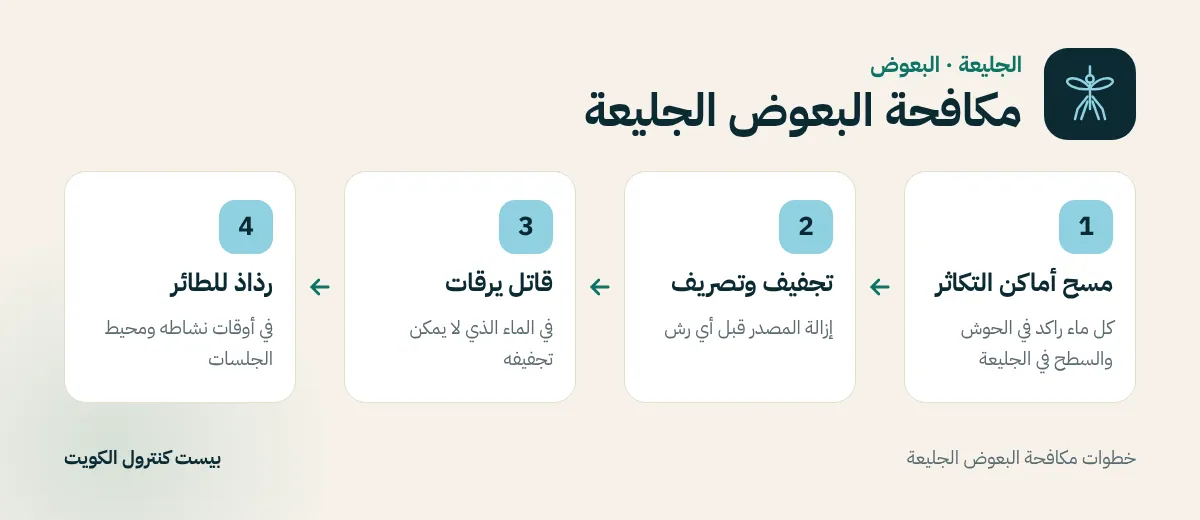 خطوات مكافحة البعوض الجليعة