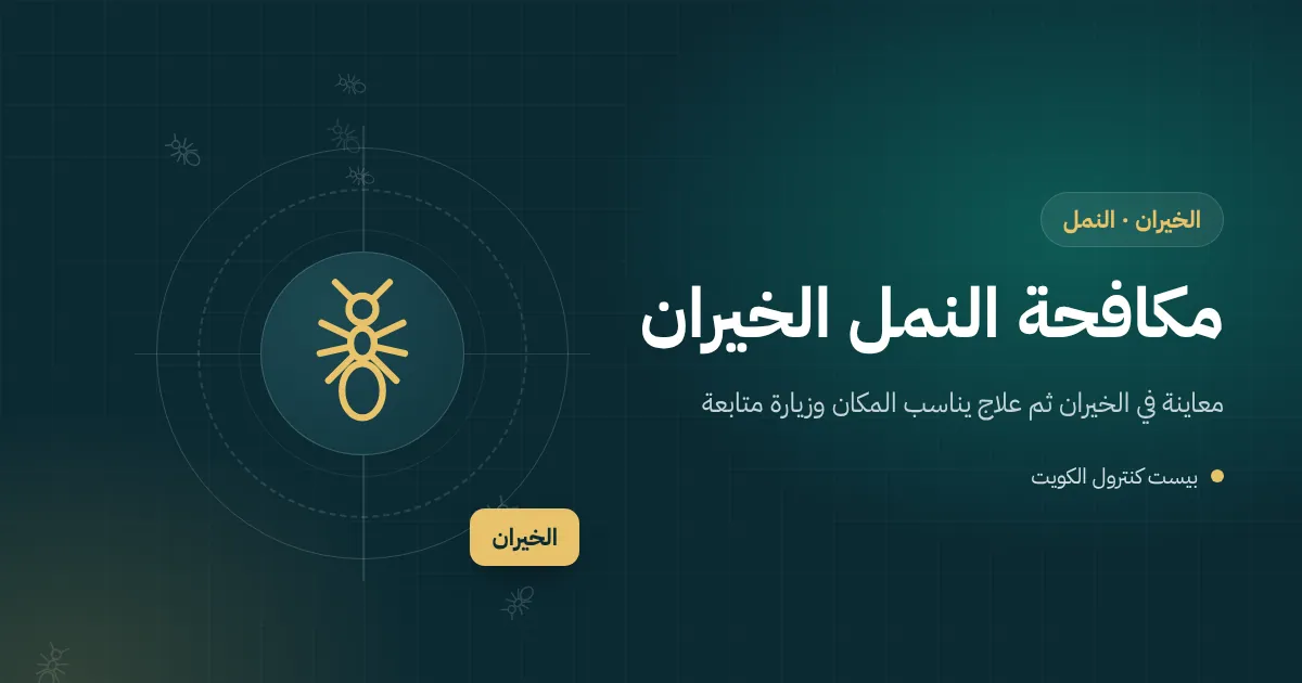 رسم توضيحي لخط نمل يتجه نحو شواية على تراس شاليه في الخيران