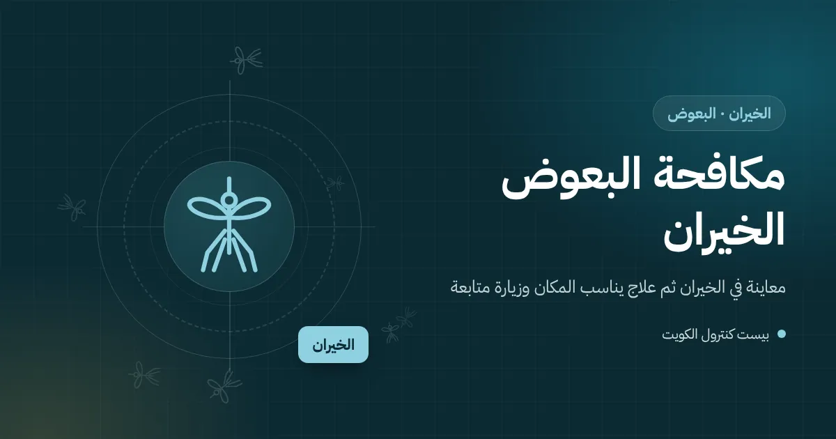 رسم توضيحي لمسبح شاليه شبه فارغ في الخيران وبعوض يحوم فوق الماء الراكد