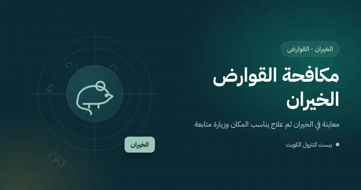 رسم توضيحي لفأر بين كراتين مخزن شاليه في الخيران ومحطة طُعوم مغلقة قرب الجدار