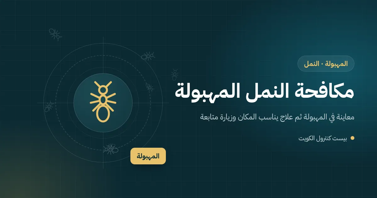 رسم توضيحي لطابور نمل فرعون الأصفر حول مقبس كهرباء في مطبخ شقة عالية بالمهبولة
