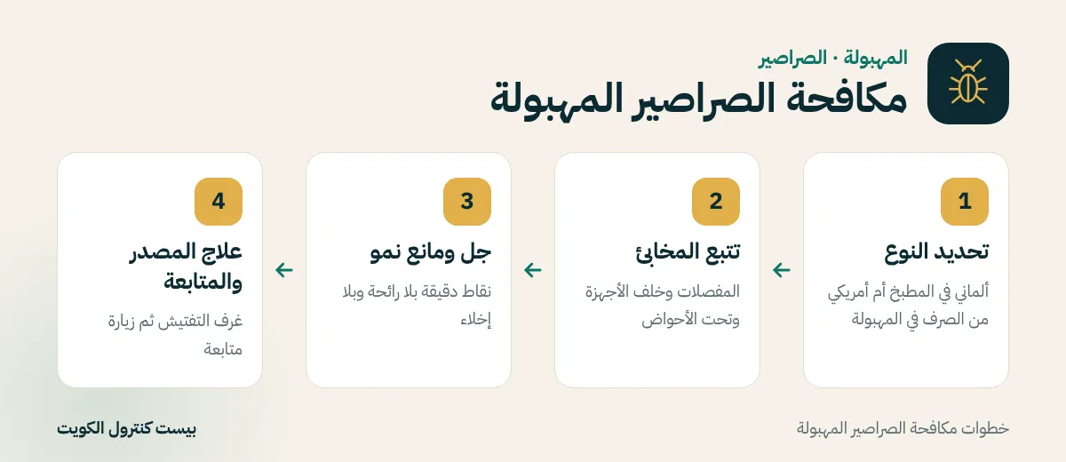 خطوات مكافحة الصراصير المهبولة