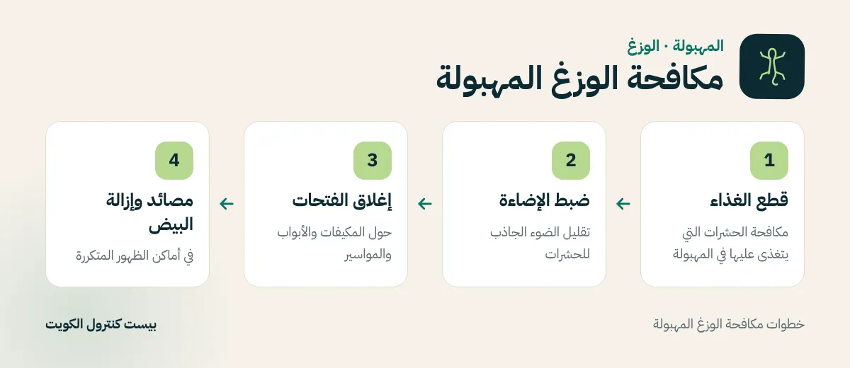 خطوات مكافحة الوزغ المهبولة