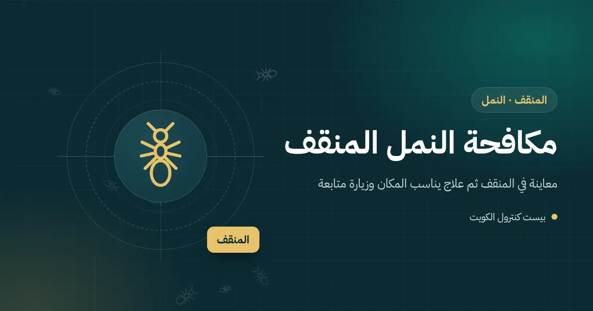 رسم توضيحي لخط نمل يخرج من مقبس كهرباء نحو طاولة في شقة عائلية بالمنقف