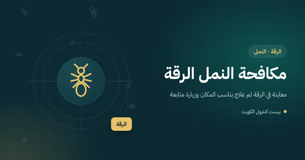 رسم توضيحي لأجنحة نمل أبيض متساقطة قرب نافذة بيت في الرقة وطابور نمل عند مغسلة