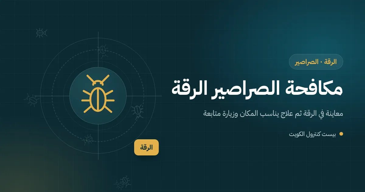 رسم توضيحي لصرصور كبير يخرج من بالوعة حوش بيت في الرقة في ليلة صيفية