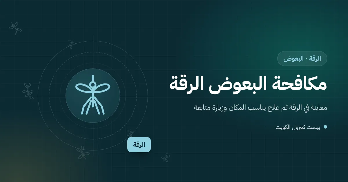رسم توضيحي لبركة ماء مطر في زاوية حوش بيت بالرقة وجلسة عائلية مسائية