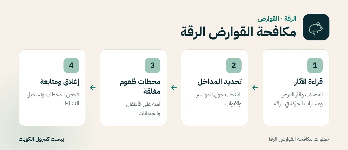 خطوات مكافحة القوارض الرقة