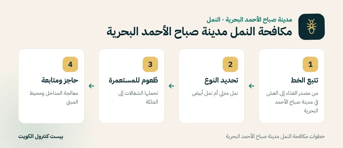 خطوات مكافحة النمل مدينة صباح الأحمد البحرية