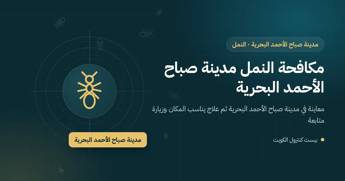 خط نمل يتجه إلى طاولة على تراس خشبي على ضفة قناة بمدينة صباح الأحمد البحرية