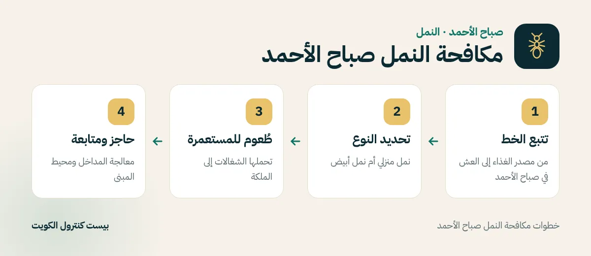 خطوات مكافحة النمل صباح الأحمد