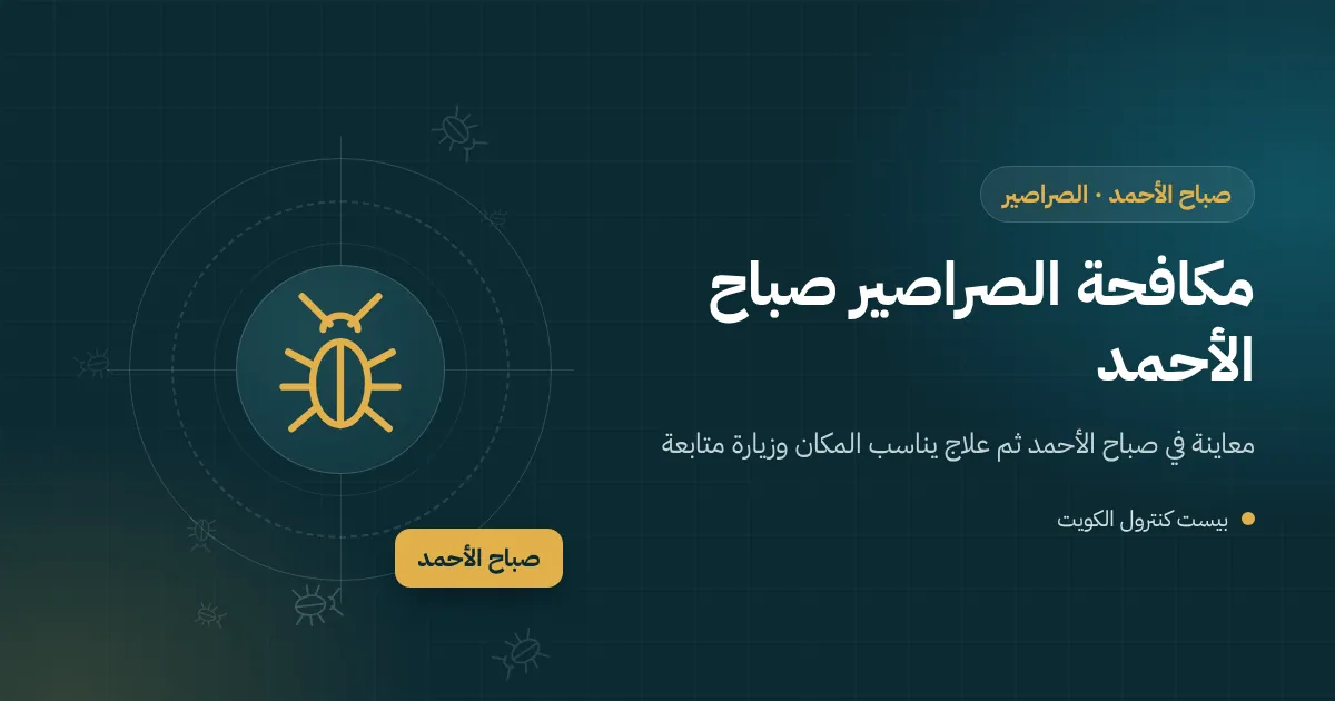كراتين انتقال مفتوحة في مطبخ بيت حديث بصباح الأحمد وصرصور صغير يخرج من خلف ثلاجة