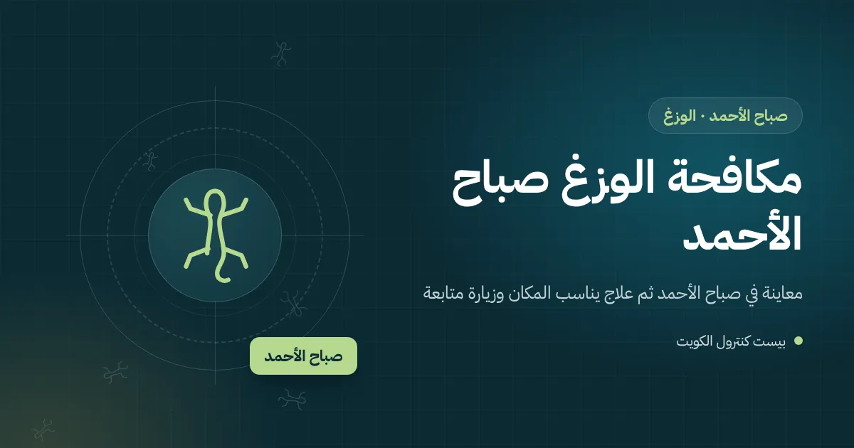 وزغ على واجهة بيت حديث مضاءة ليلًا في صباح الأحمد قرب فتحة أنبوب مكيف