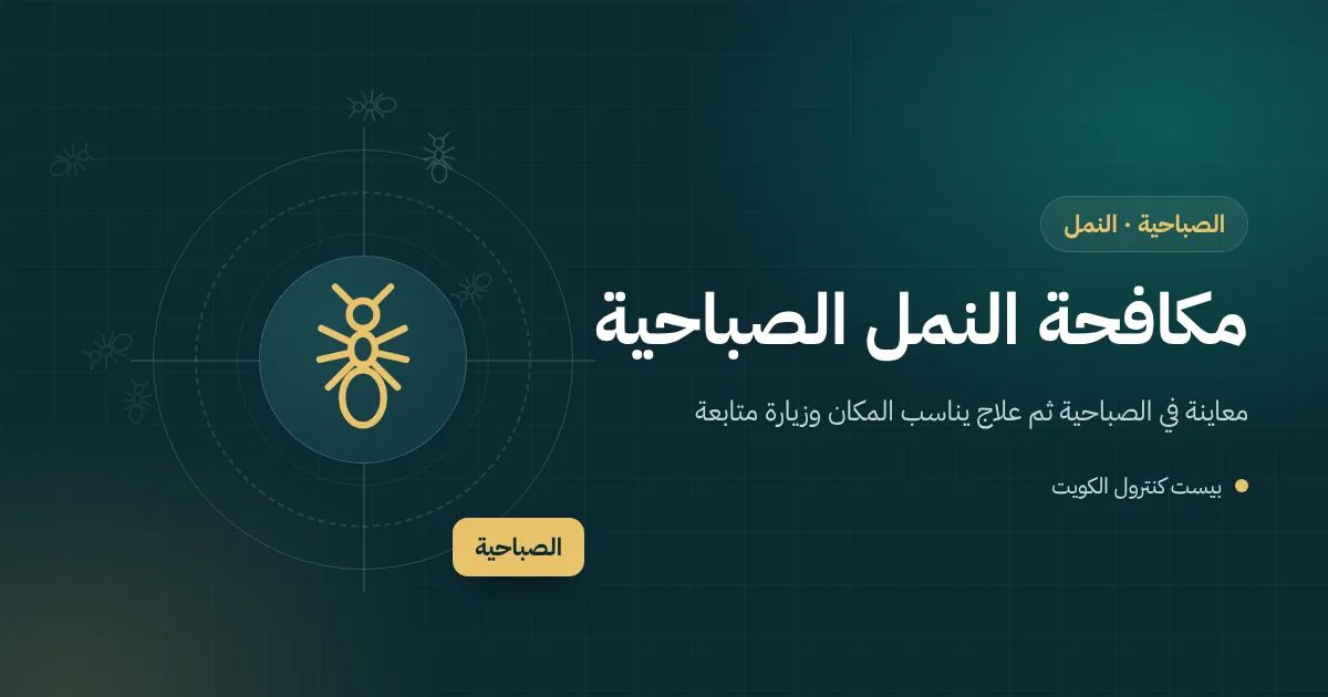 رسم توضيحي لخط نمل يخرج من بلاط رطب قرب ماسورة قديمة في مطبخ بيت بالصباحية