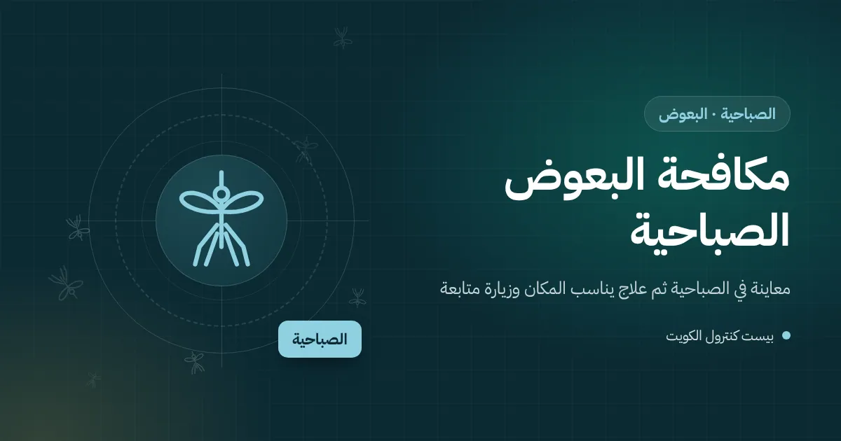 رسم توضيحي لسطح بيت قديم في الصباحية فيه خزان ماء ومزراب يتجمع فيه الماء والبعوض