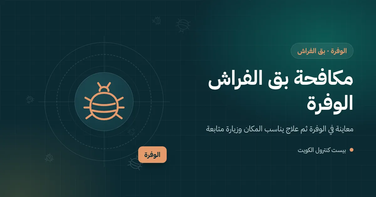 رسم توضيحي لأسرّة معدنية بطابقين في سكن عمال مزرعة بالوفرة وفني يفحص المراتب